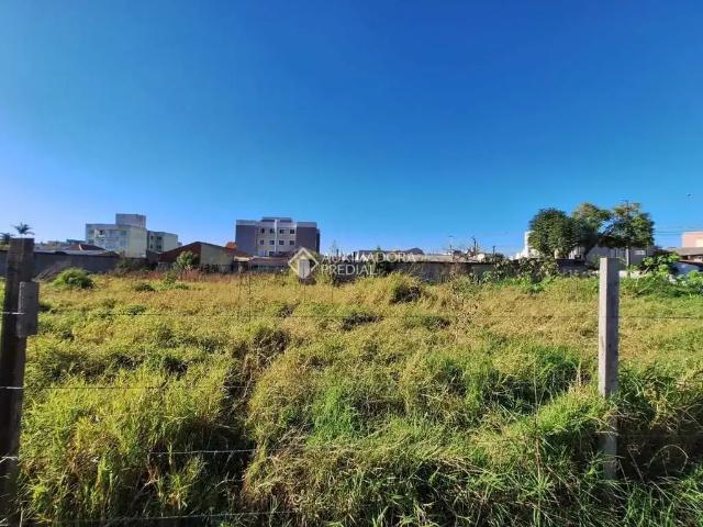 Terreno / Lote para Venda em São José dos Pinhais/PR Parque da Fonte