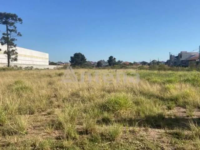 Terreno / Lote para Venda em São José dos Pinhais/PR Parque da Fonte