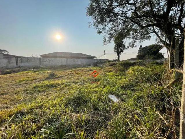 Terreno / Lote para Venda em São José dos Pinhais/PR Quississana