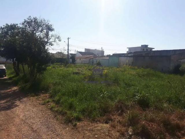 Terreno / Lote para Venda em São José dos Pinhais/PR Quississana