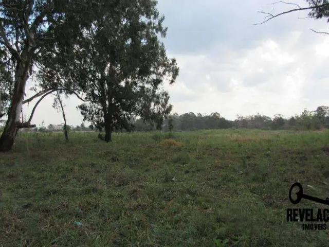 Terreno / Lote para Venda em São José dos Pinhais/PR Quississana