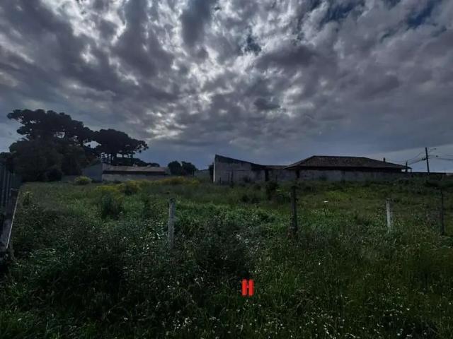 Terreno / Lote para Venda em São José dos Pinhais/PR Quississana