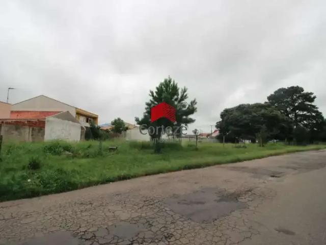 Terreno / Lote para Venda em São José dos Pinhais/PR Rio Pequeno