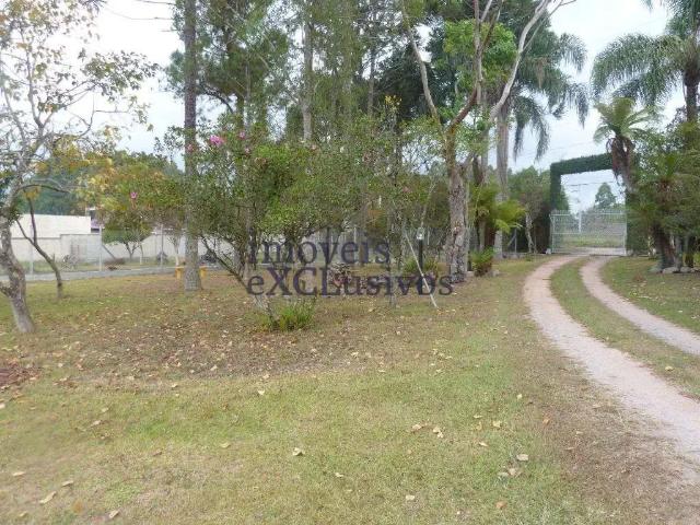 Terreno / Lote para Venda em São José dos Pinhais/PR Rio Pequeno