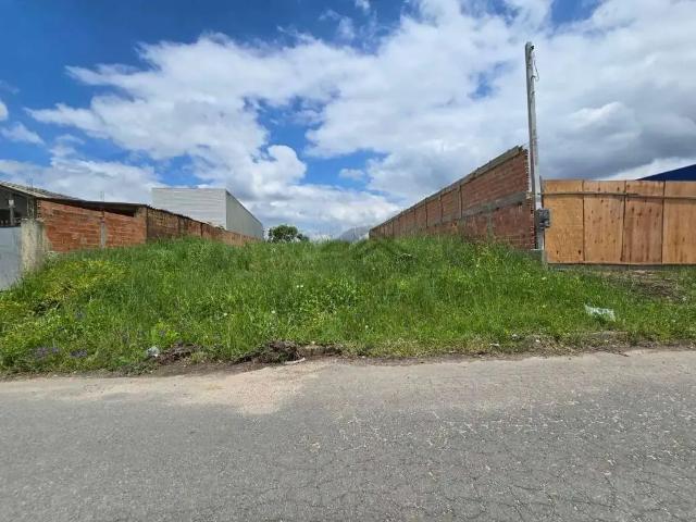 Terreno / Lote para Venda em São José dos Pinhais/PR Rio Pequeno
