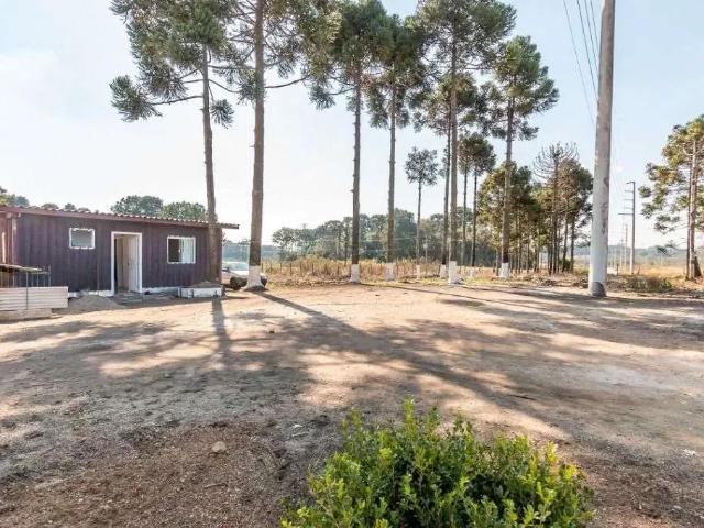 Terreno / Lote para Venda em São José dos Pinhais/PR Rio Pequeno