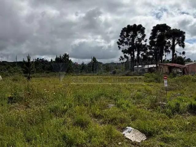 Terreno / Lote para Venda em São José dos Pinhais/PR Rio Pequeno