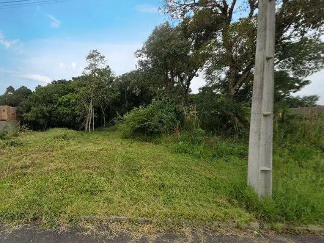 Terreno / Lote para Venda em São José dos Pinhais/PR Rio Pequeno