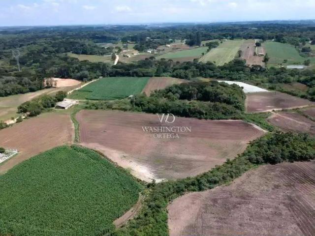 Terreno / Lote para Venda em São José dos Pinhais/PR Roseira