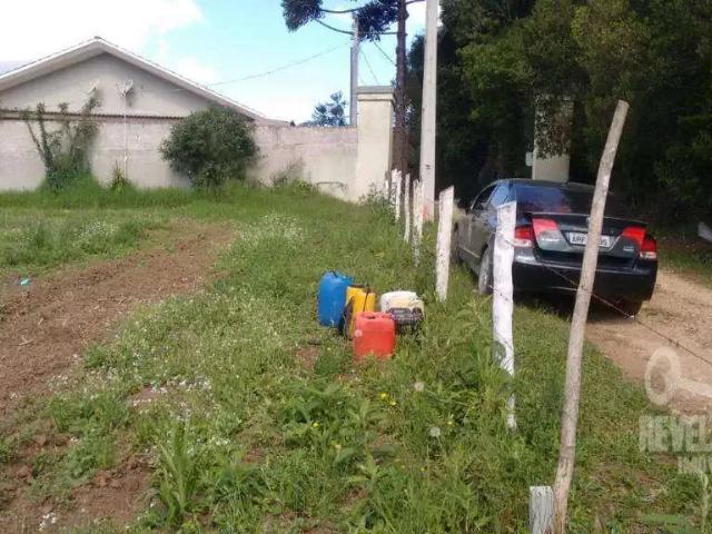 Terreno / Lote para Venda em São José dos Pinhais/PR Roseira