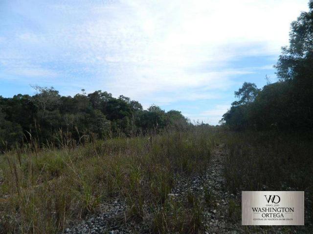 Terreno / Lote para Venda em São José dos Pinhais/PR Roseira