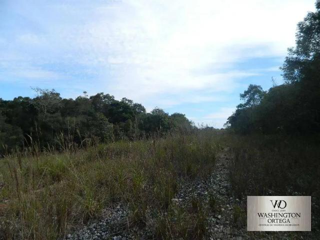 Terreno / Lote para Venda em São José dos Pinhais/PR Roseira