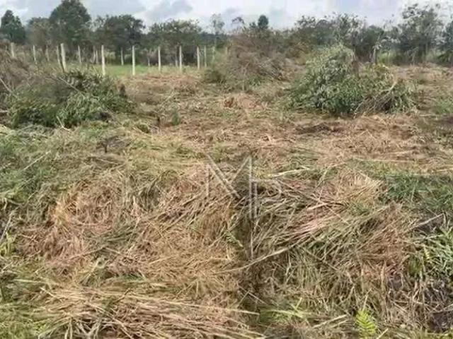 Terreno / Lote para Venda em São José dos Pinhais/PR Roseira