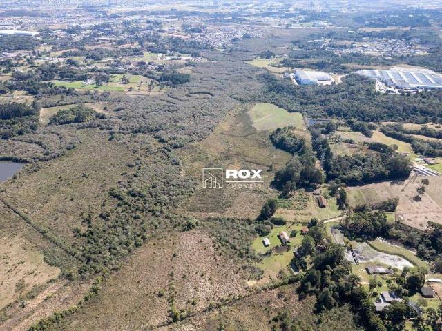 Terreno / Lote para Venda em São José dos Pinhais/PR Roseira