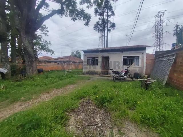 Terreno / Lote para Venda em São José dos Pinhais/PR Roseira de São Sebastião 4 Quartos