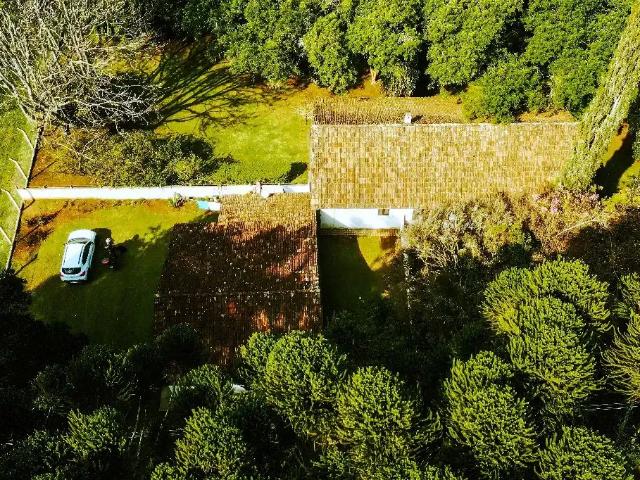 Terreno / Lote para Venda em São José dos Pinhais/PR Roseira de São Sebastião
