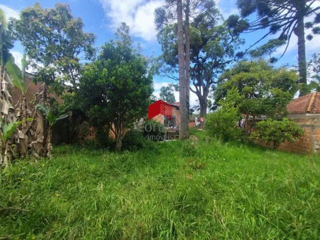 Terreno / Lote para Venda em São José dos Pinhais/PR Roseira de São Sebastião