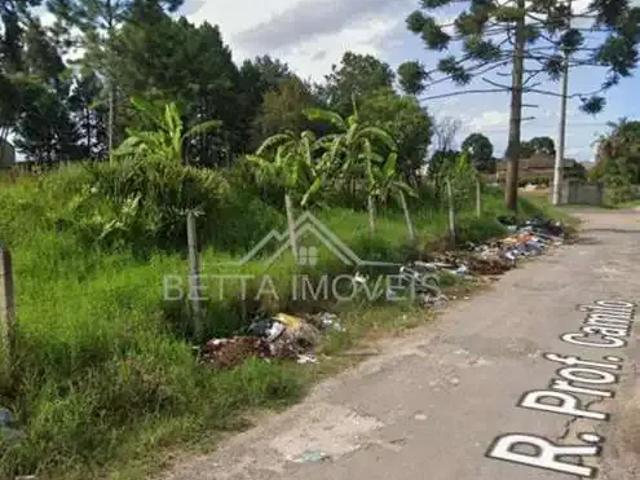 Terreno / Lote para Venda em São José dos Pinhais/PR Roseira de São Sebastião