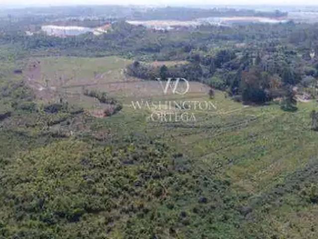 Terreno / Lote para Venda em São José dos Pinhais/PR Roseira de São Sebastião