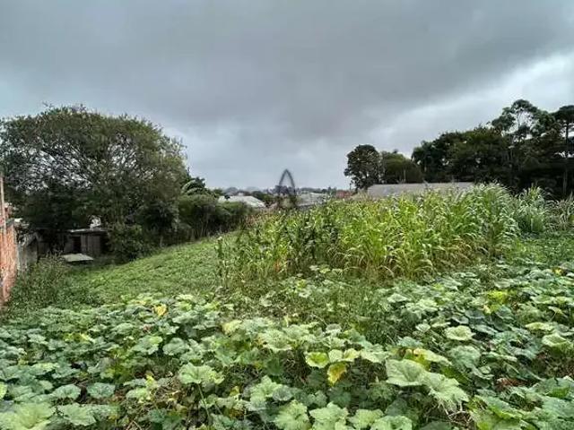 Terreno / Lote para Venda em São José dos Pinhais/PR Roseira de São Sebastião