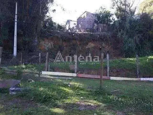 Terreno / Lote para Venda em São José dos Pinhais/PR São Domingos