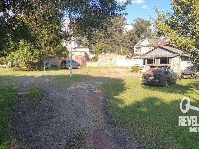 Terreno / Lote para Venda em São José dos Pinhais/PR São Domingos