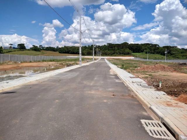Terreno / Lote para Venda em São José dos Pinhais/PR São Marcos 3 Quartos