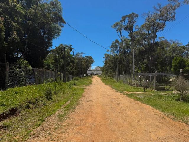 Terreno / Lote para Venda em São José dos Pinhais/PR São Marcos
