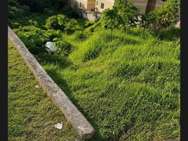 Terreno / Lote para Venda em São José dos Pinhais/PR São Marcos 1 Quartos