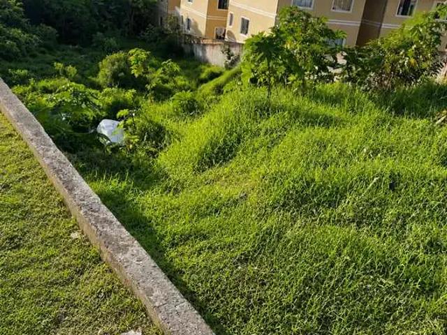 Terreno / Lote para Venda em São José dos Pinhais/PR São Marcos