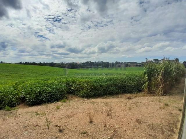 Terreno / Lote para Venda em São José dos Pinhais/PR São Marcos