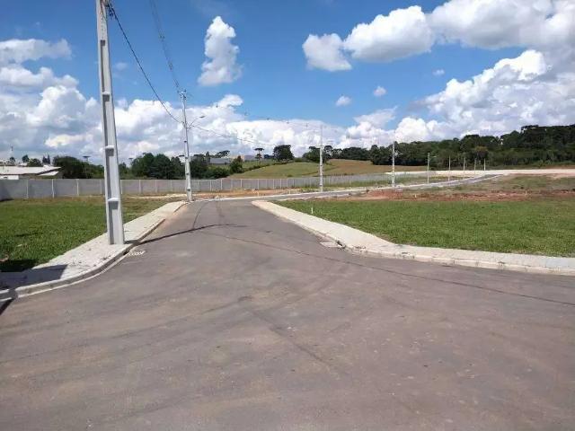 Terreno / Lote para Venda em São José dos Pinhais/PR São Marcos