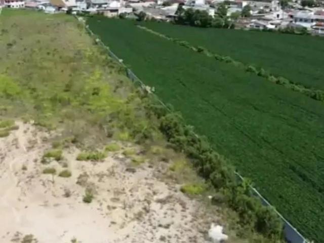 Terreno / Lote para Venda em São José dos Pinhais/PR São Marcos