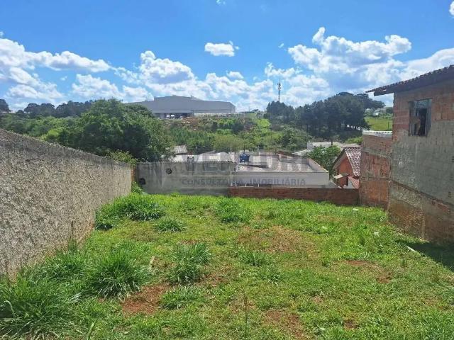 Terreno / Lote para Venda em São José dos Pinhais/PR São Marcos
