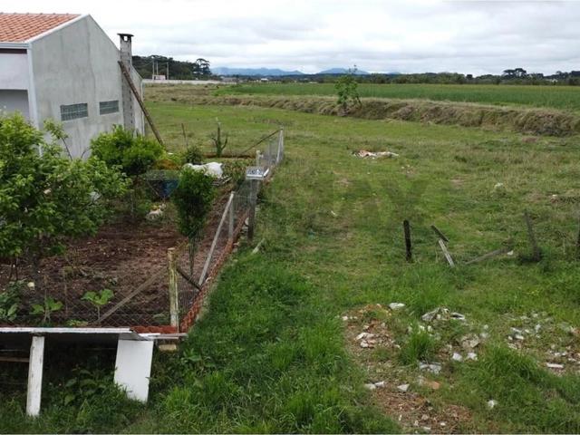 Terreno / Lote para Venda em São José dos Pinhais/PR São Marcos