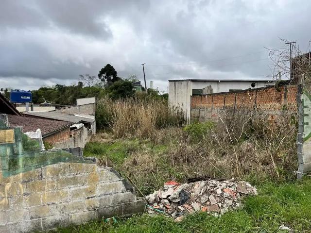 Terreno / Lote para Venda em São José dos Pinhais/PR São Marcos