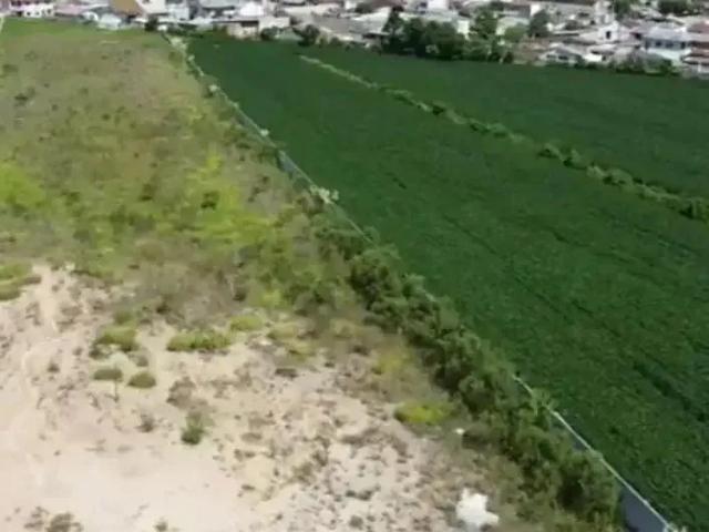 Terreno / Lote para Venda em São José dos Pinhais/PR São Marcos