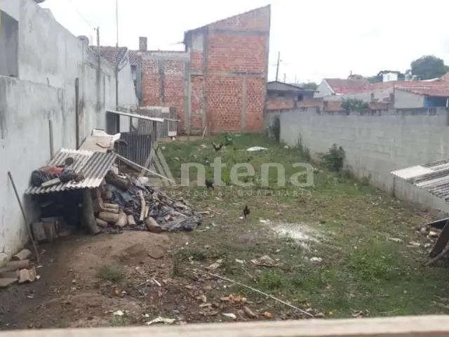 Terreno / Lote para Venda em São José dos Pinhais/PR São Marcos