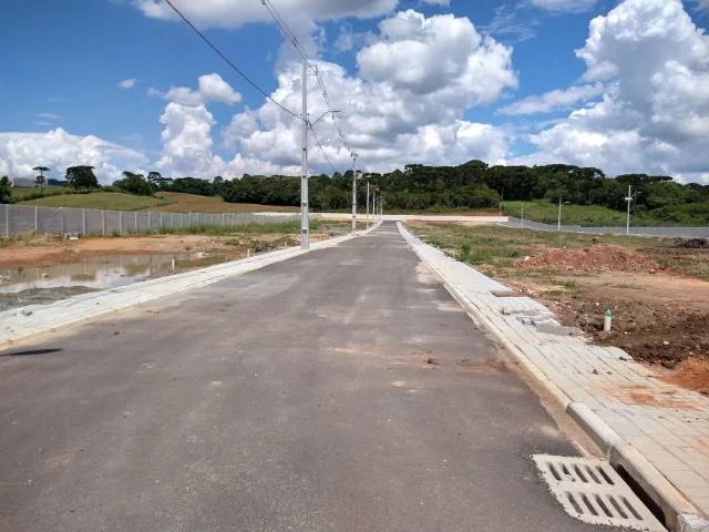 Terreno / Lote para Venda em São José dos Pinhais/PR São Marcos