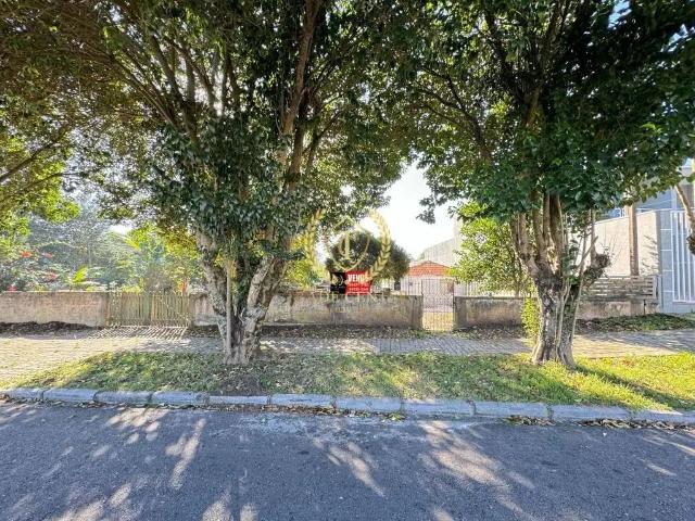 Terreno / Lote para Venda em São José dos Pinhais/PR São Pedro