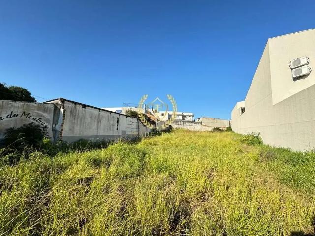Terreno / Lote para Venda em São José dos Pinhais/PR São Pedro