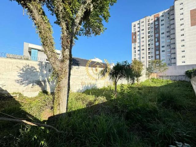 Terreno / Lote para Venda em São José dos Pinhais/PR São Pedro
