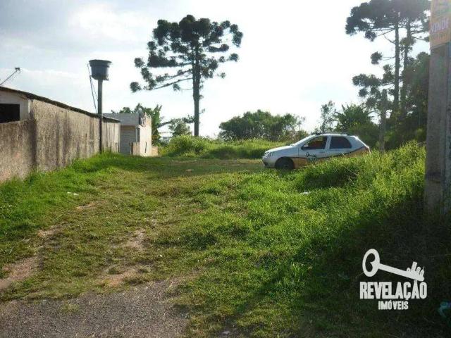 Terreno / Lote para Venda em São José dos Pinhais/PR São Sebastião
