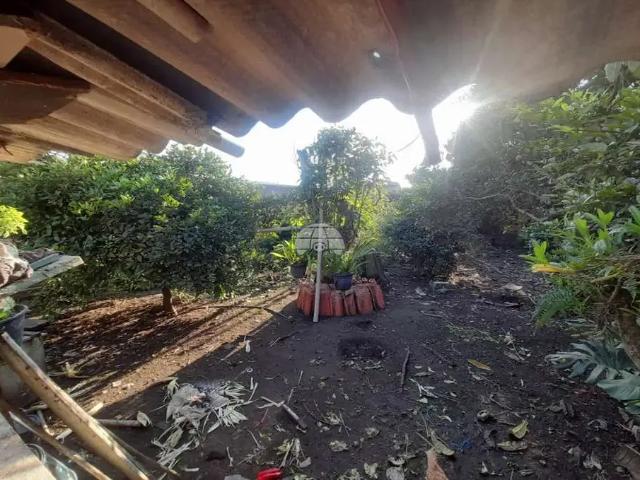 Terreno / Lote para Venda em São José dos Pinhais/PR São Sebastião 2 Quartos