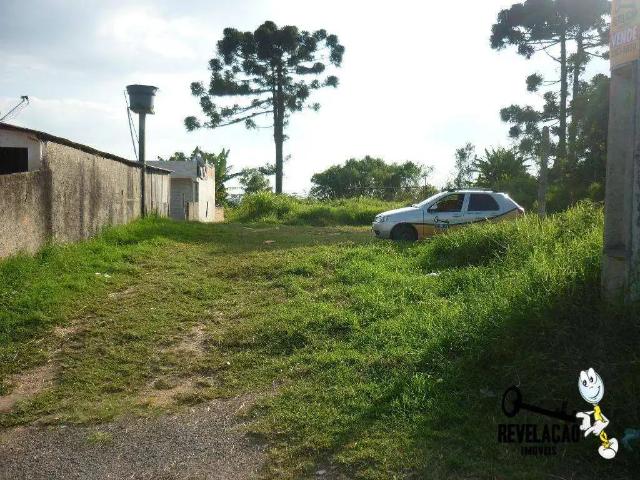 Terreno / Lote para Venda em São José dos Pinhais/PR São Sebastião