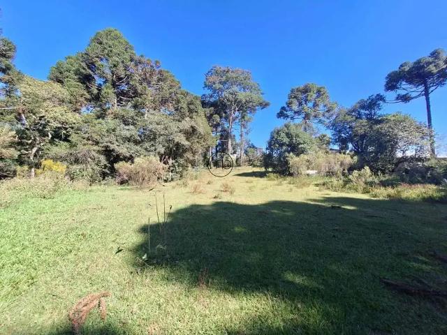 Terreno / Lote para Venda em São José dos Pinhais/PR Zacarias