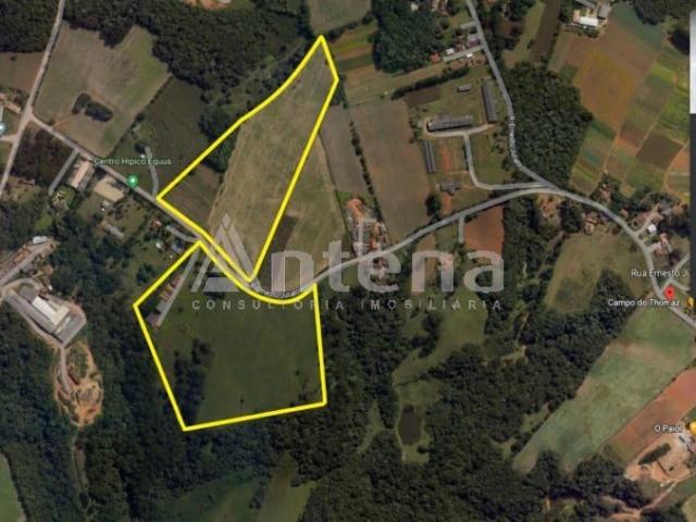 Terreno / Lote para Venda em São José dos Pinhais/PR Zacarias