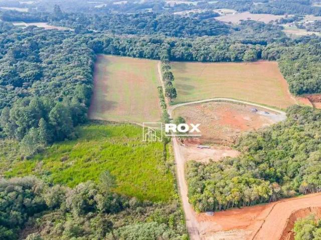 Terreno / Lote para Venda em São José dos Pinhais/PR Zacarias