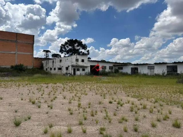 Terreno / Lote para Venda em São José dos Pinhais/PR Zaniolo