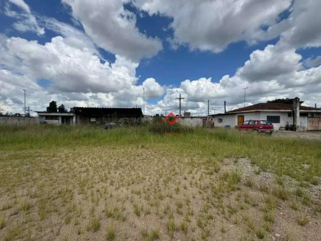 Terreno / Lote para Venda em São José dos Pinhais/PR Zaniolo